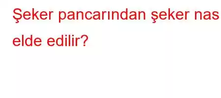 Şeker pancarından şeker nasıl elde edilir?