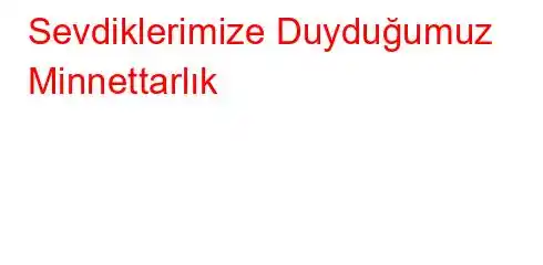 Sevdiklerimize Duyduğumuz Minnettarlık