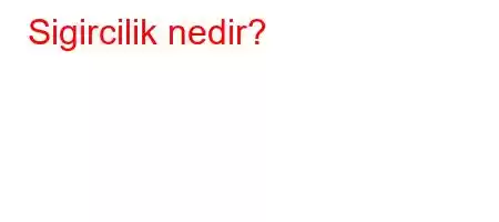 Sigircilik nedir?