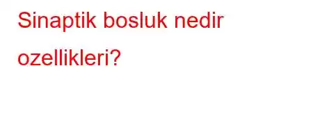 Sinaptik bosluk nedir ozellikleri?