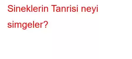 Sineklerin Tanrisi neyi simgeler