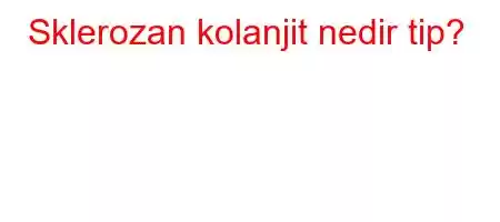 Sklerozan kolanjit nedir tip?