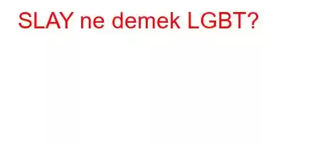 SLAY ne demek LGBT?