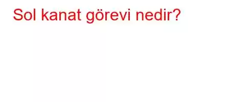 Sol kanat görevi nedir