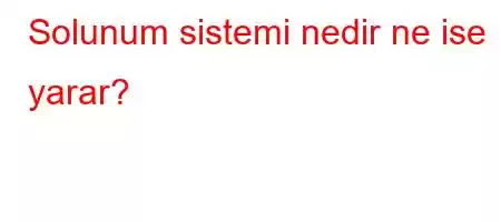 Solunum sistemi nedir ne ise yarar?