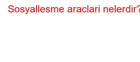 Sosyallesme araclari nelerdir