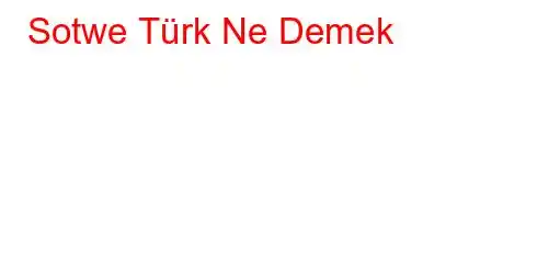 Sotwe Türk Ne Demek?