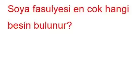 Soya fasulyesi en cok hangi besin bulunur