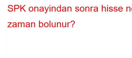 SPK onayindan sonra hisse ne zaman bolunur?