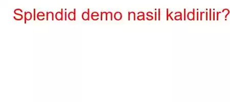 Splendid demo nasil kaldirilir?