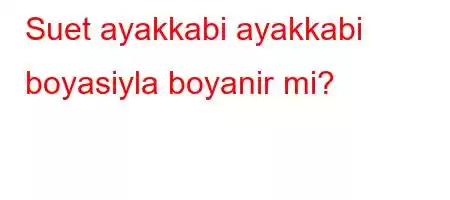 Suet ayakkabi ayakkabi boyasiyla boyanir mi?