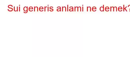 Sui generis anlami ne demek?