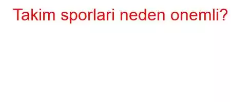 Takim sporlari neden onemli?