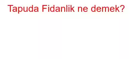 Tapuda Fidanlik ne demek?