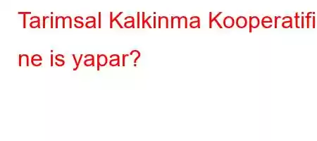 Tarimsal Kalkinma Kooperatifi ne is yapar