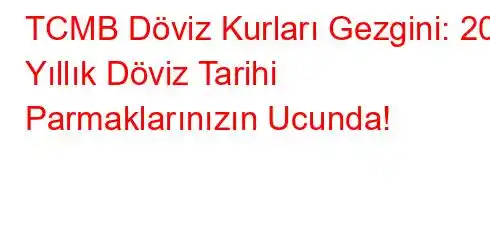 TCMB Döviz Kurları Gezgini: 20 Yıllık Döviz Tarihi Parmaklarınızın Ucunda!