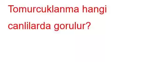 Tomurcuklanma hangi canlilarda gorulur