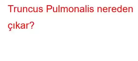 Truncus Pulmonalis nereden çıkar?