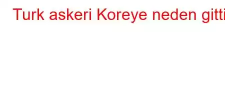 Turk askeri Koreye neden gitti?