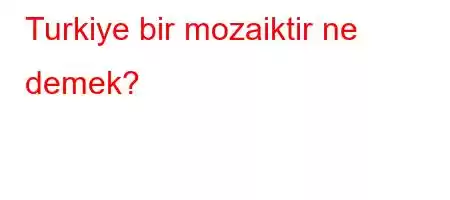 Turkiye bir mozaiktir ne demek?