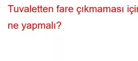 Tuvaletten fare çıkmaması için ne yapmalı?