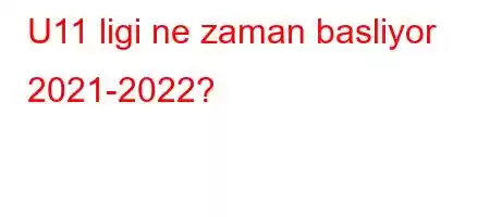 U11 ligi ne zaman basliyor 2021-2022?