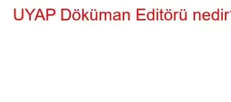 UYAP Döküman Editörü nedir?