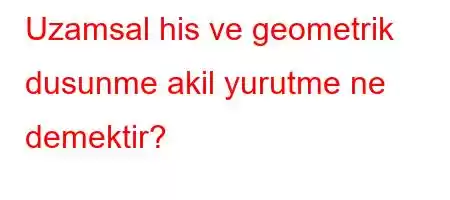 Uzamsal his ve geometrik dusunme akil yurutme ne demektir?