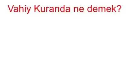 Vahiy Kuranda ne demek?