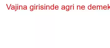 Vajina girisinde agri ne demek?