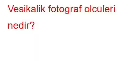 Vesikalik fotograf olculeri nedir?