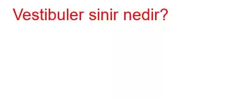 Vestibuler sinir nedir?