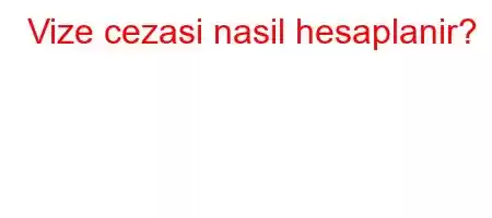 Vize cezasi nasil hesaplanir?