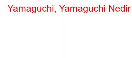 Yamaguchi, Yamaguchi Nedir ?