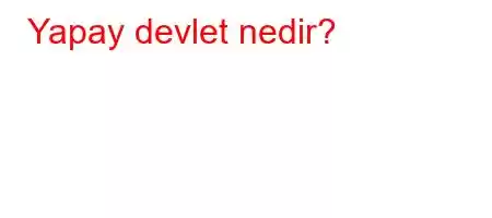 Yapay devlet nedir?