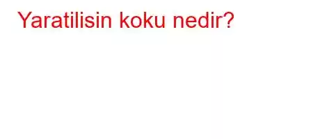 Yaratilisin koku nedir?