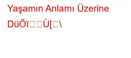 Yaşamın Anlamı Üzerine DüŐ[\