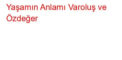 Yaşamın Anlamı Varoluş ve Özdeğer