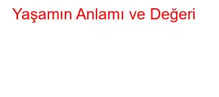 Yaşamın Anlamı ve Değeri