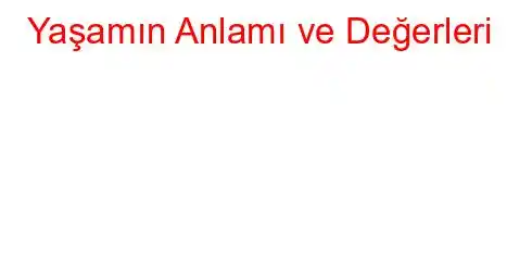 Yaşamın Anlamı ve Değerleri