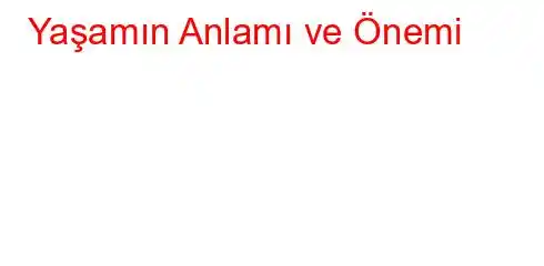 Yaşamın Anlamı ve Önemi