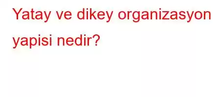 Yatay ve dikey organizasyon yapisi nedir?