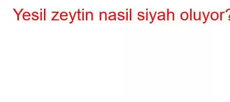 Yesil zeytin nasil siyah oluyor?