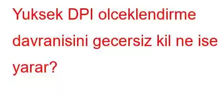 Yuksek DPI olceklendirme davranisini gecersiz kil ne ise yarar