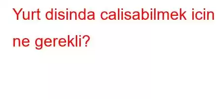 Yurt disinda calisabilmek icin ne gerekli