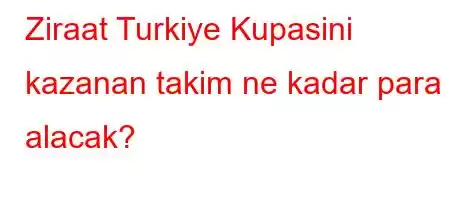 Ziraat Turkiye Kupasini kazanan takim ne kadar para alacak?