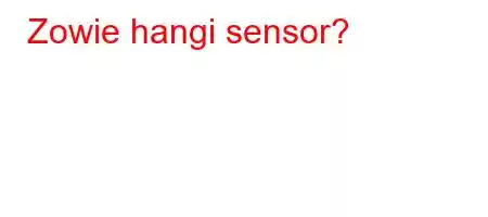 Zowie hangi sensor?